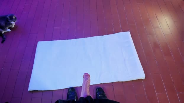 srluism  11-11-2023 video lovense