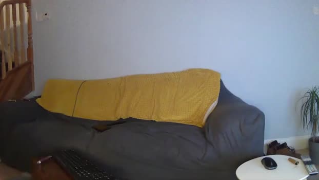 englishladxxx  12-11-2023 video bj-dildo