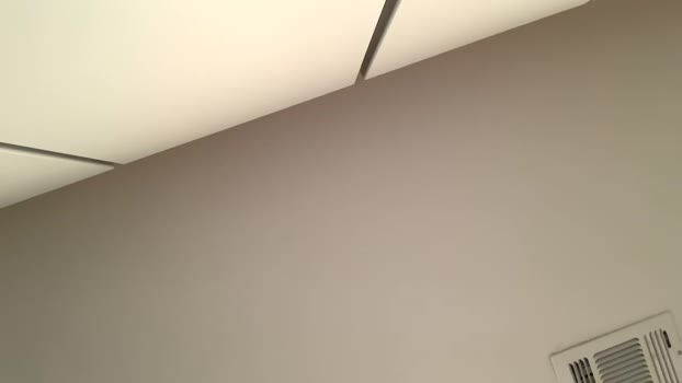 iconicc  13-11-2023 video bigass