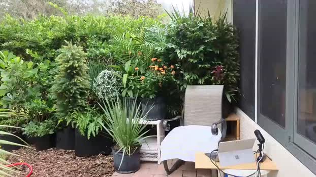 ericfromflorida420  13-11-2023 video lovense