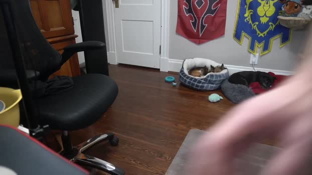 sydaffect  14-11-2023 video hard