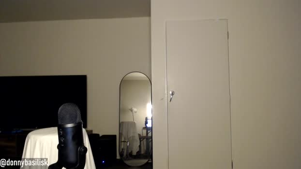 donnybasilisk  14-11-2023 video toys