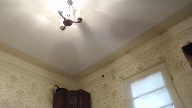 tralalabala  15-11-2023 video kiss