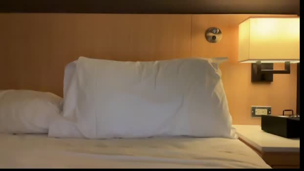 matthornyfamilyguy  16-11-2023 video oral