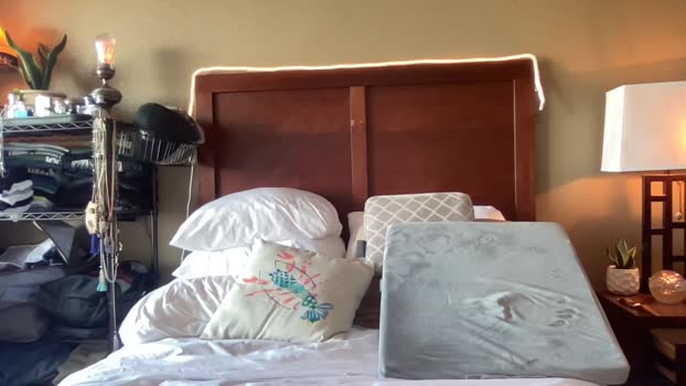 clt_gent  17-11-2023 video analtoy