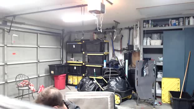 committedtoit  17-11-2023 video sexybody