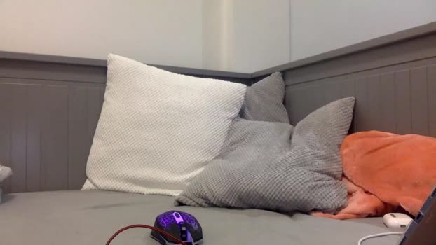 danio1117skinny  17-11-2023 video playtime