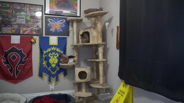 sydaffect  20-11-2023 video spank