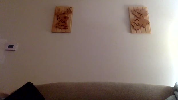 daveolay  23-11-2023 video beauty