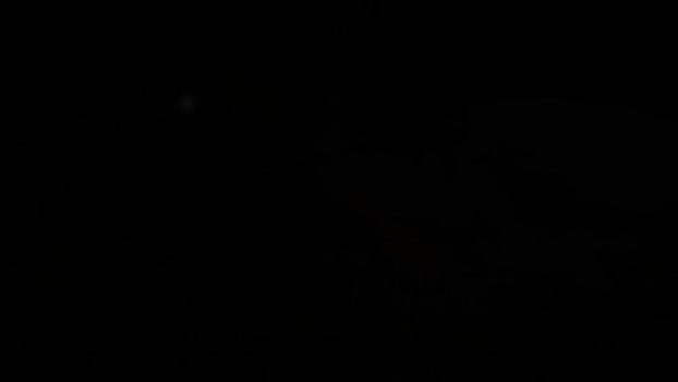 dominic_sullivan1  24-11-2023 video strip