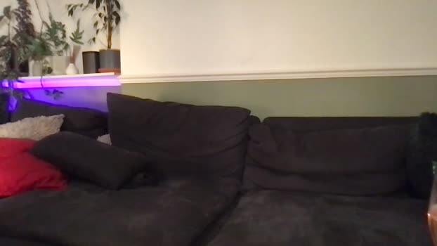 wowzer123_  25-11-2023 video lick