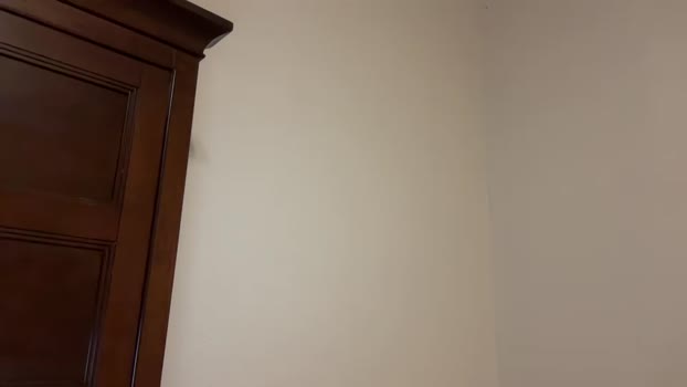 golfman234  26-11-2023 video handsome