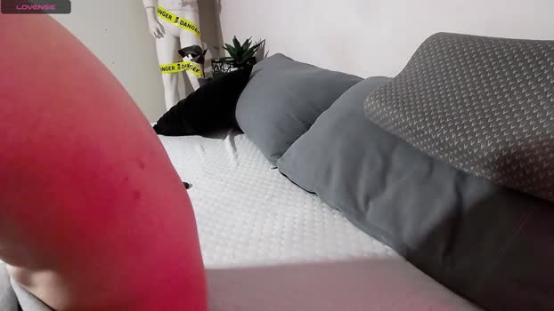 brell_line  27-11-2023 video sexykitty