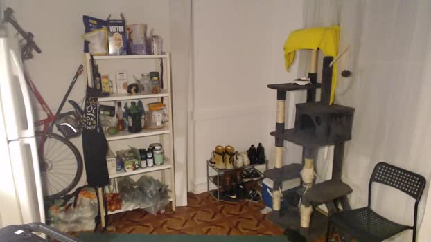 ryansparx  27-11-2023 video XXX