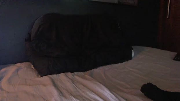 bby044  28-11-2023 video suck