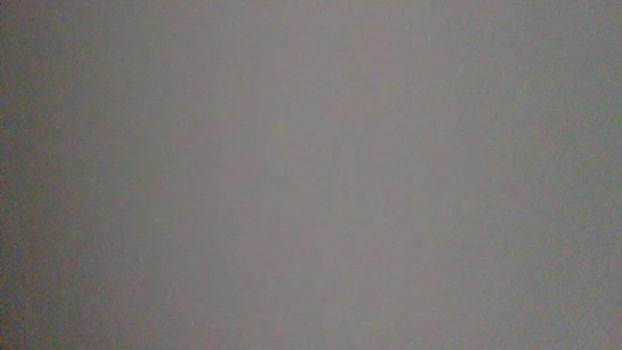 kwikkummer2  27-11-2023 video lick