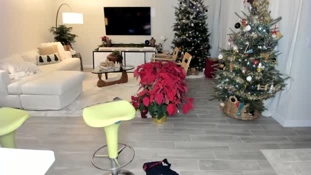 rawr_itsben  27-11-2023 video kiss