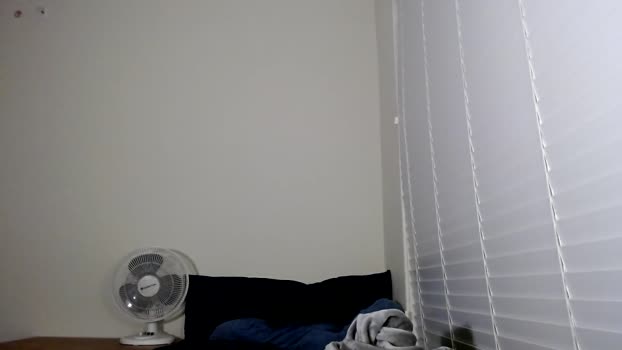 addickted998  29-11-2023 video jerking