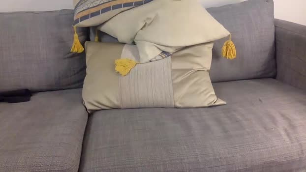 dndo21  29-11-2023 video nasty