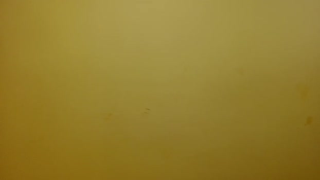 lione__one  29-11-2023 video kink