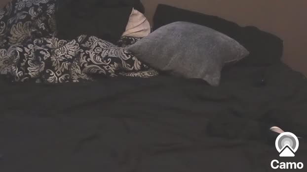 iamwhoiam76 01-12-2023 video legs