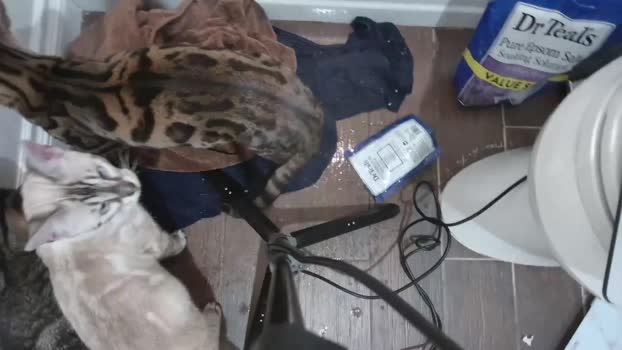 alphazack14 02-12-2023 video Download