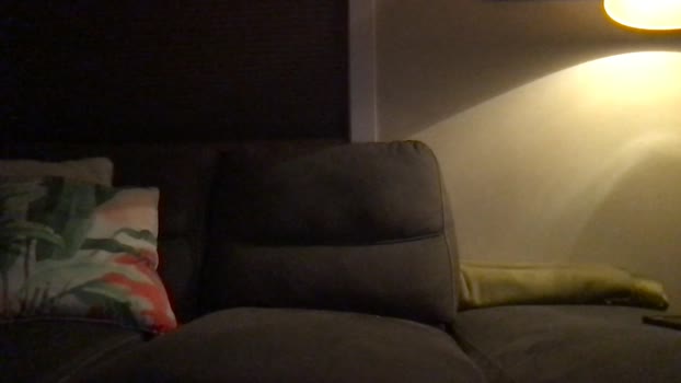 stonerboxer2021 02-12-2023 video kink