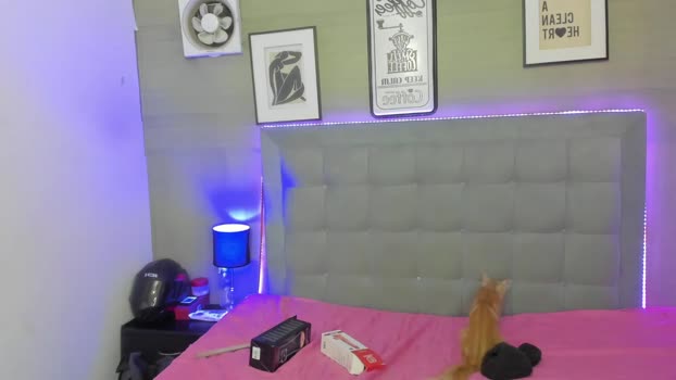 jhay_wheeler 03-12-2023 video hardcore