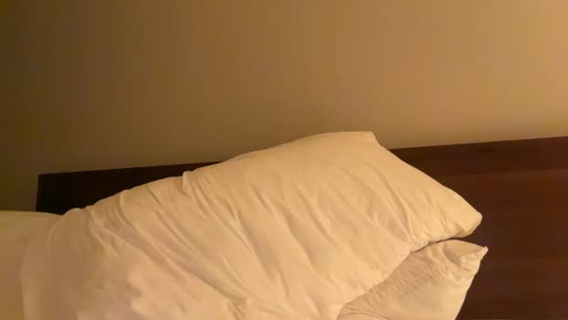 randomdude5950 05-12-2023 video lovense