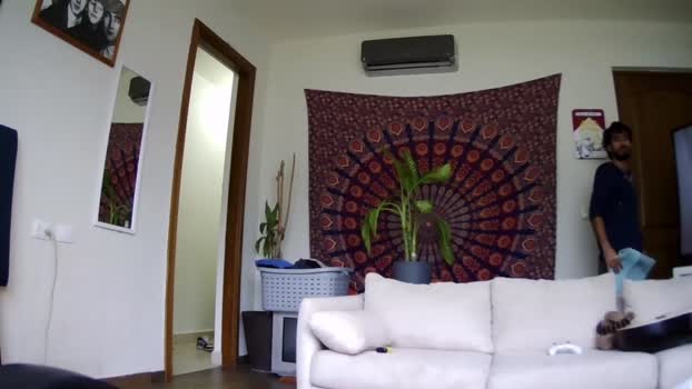 brunobaibe 07-12-2023 video hardcock