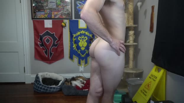 sydaffect 12-12-2023 video gag