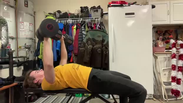 akwild1 13-12-2023 video Download