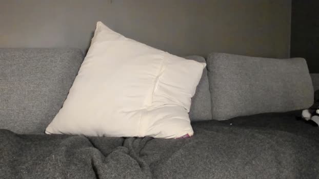 forestcliff 13-12-2023 video moan