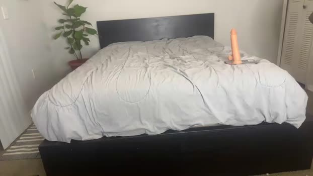 thesoutherndevil 14-12-2023 video twink