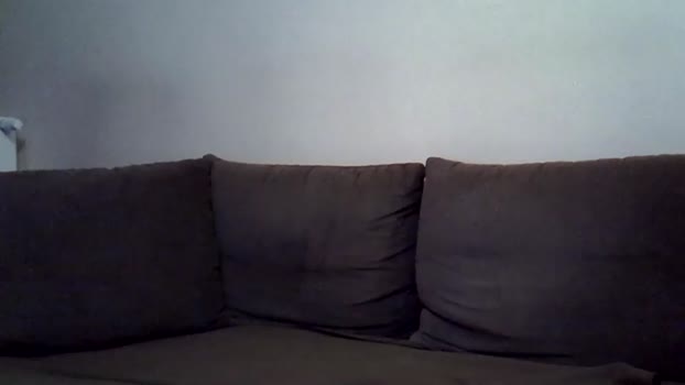 sculptor36 14-12-2023 video gay