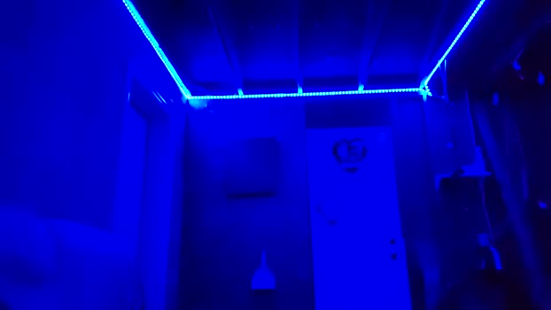 silverfox706 17-12-2023 video toy