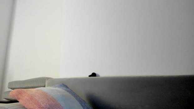 o_r_b_i_t 19-12-2023 video hardcock