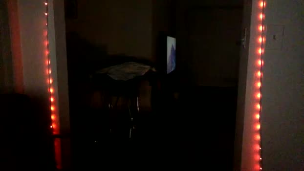 dndo21 21-12-2023 video bigtoys