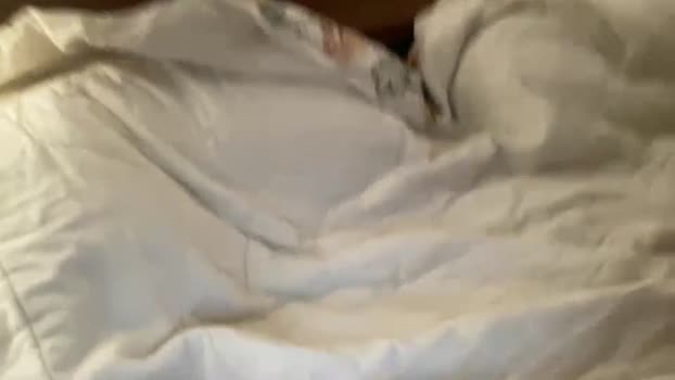 bodhitappan 25-12-2023 video kissing