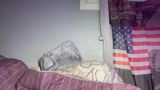 tayjuice00 24-12-2023 video fuckher