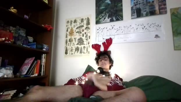 vijdij 25-12-2023 video legs