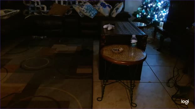 scarymechanic 27-12-2023 video nasty