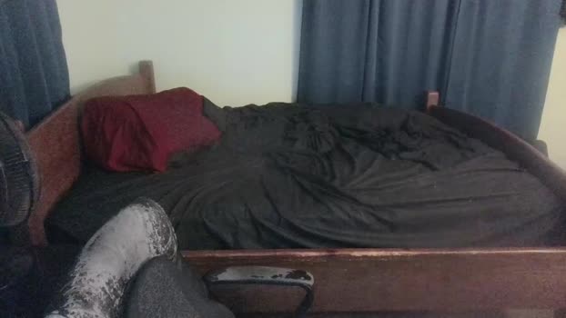 smokescreen 27-12-2023 video strip