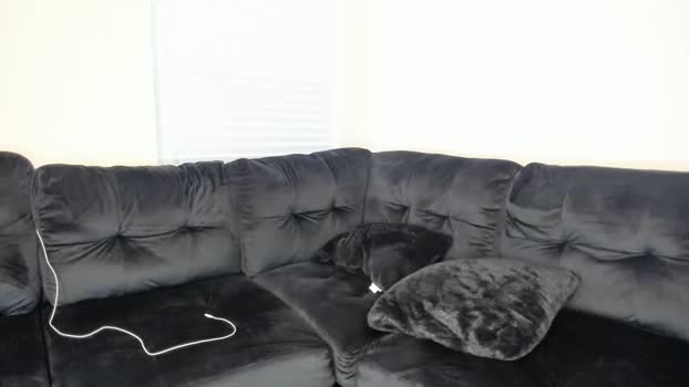 staywildnfree 27-12-2023 video hard