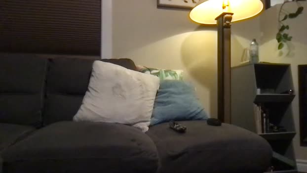 stonerboxer2021 29-12-2023 video suck