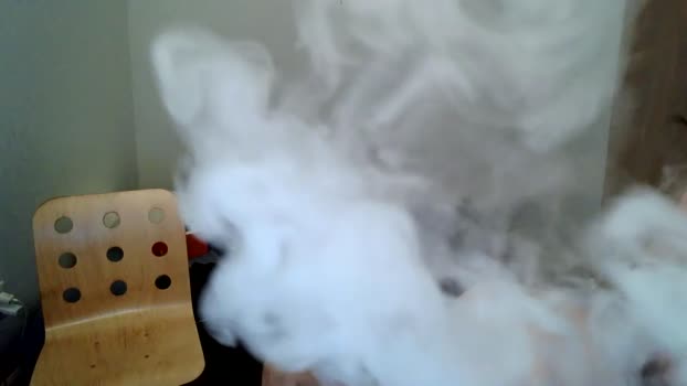 pantslesstraveler_plt 29-12-2023 video deep