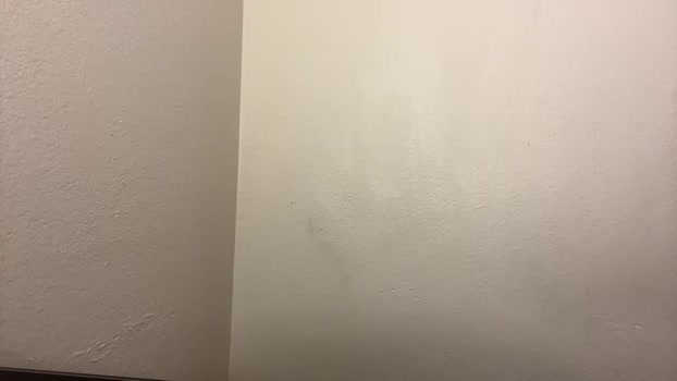 blackzxhouse 03-01-2024 video toys