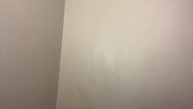 blackzxhouse 03-01-2024 video suck