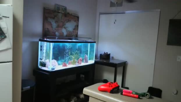 dohmerboyz 03-01-2024 video Porn