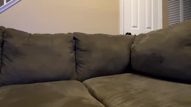 thepipe_layer 06-01-2024 video toys